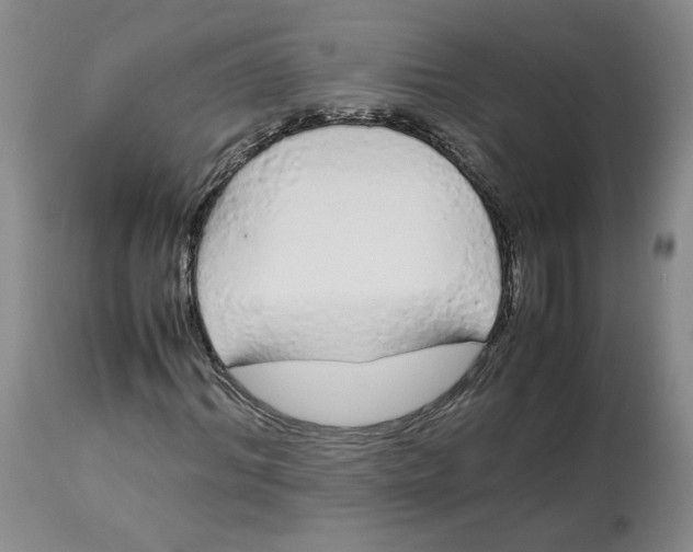 X0000113010964200909171425