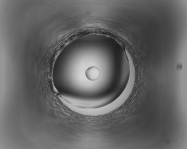 X0000113010965200909171425