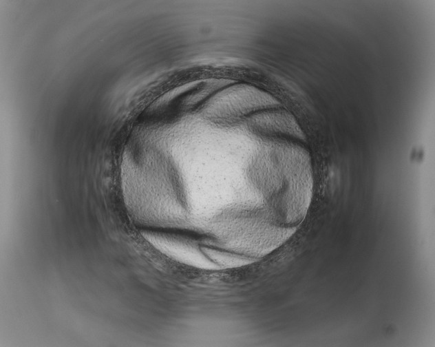 X0000113010966200909171425