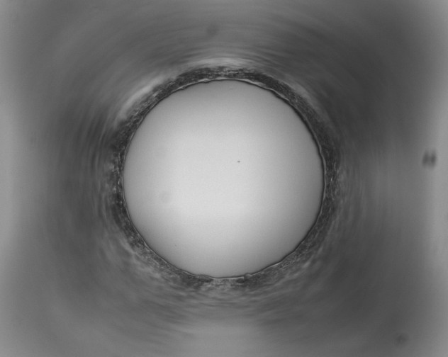 X0000113010967200909171425