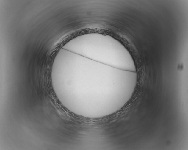 X0000113010968200909171425