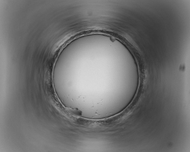 X0000113010969200909171425