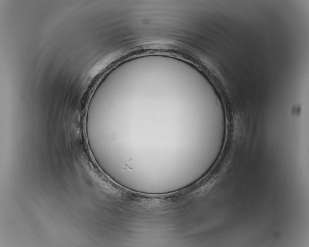 X0000113010970200909171425