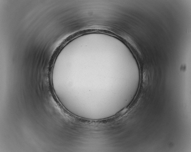 X0000113010972200909171425