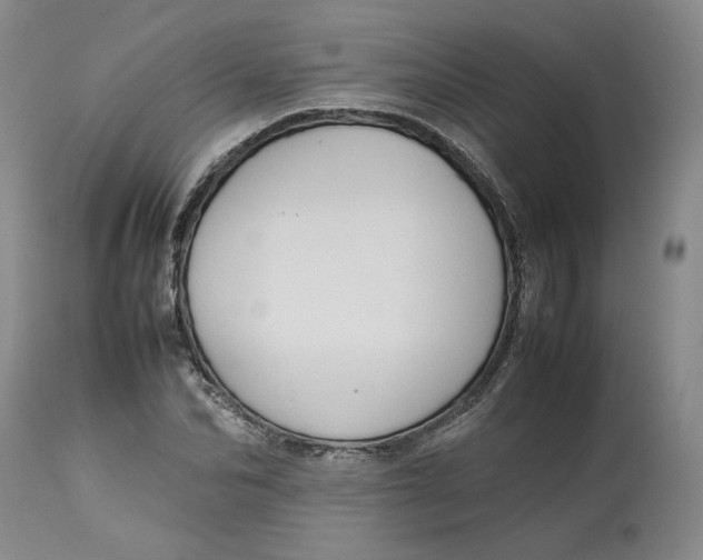 X0000113010974200909171425