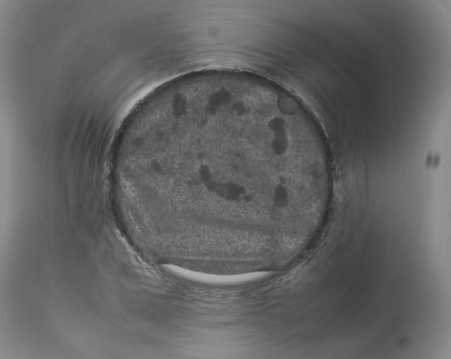 X0000113010975200909171425