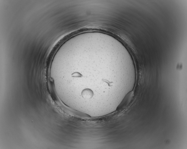 X0000113010976200909171425