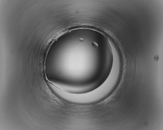 X0000113010977200909171425