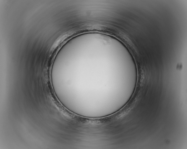 X0000113010978200909171425