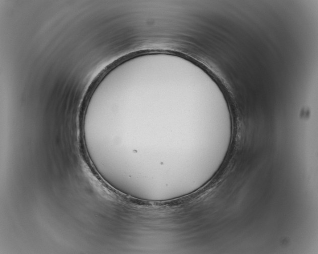 X0000113010980200909171425