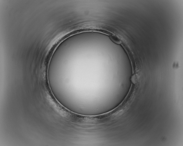 X0000113010981200909171425