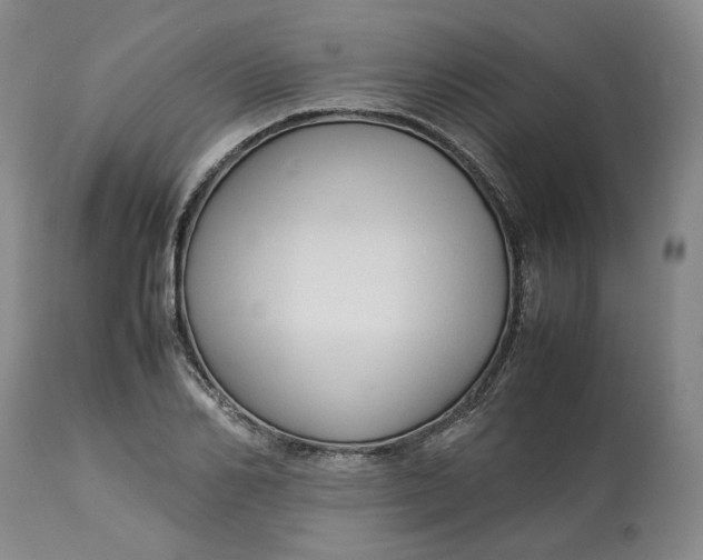 X0000113010982200909171425