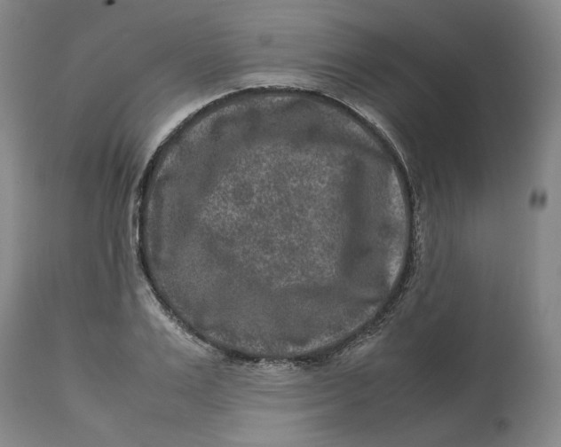 X0000113010983200909171425