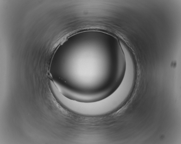 X0000113010985200909171425