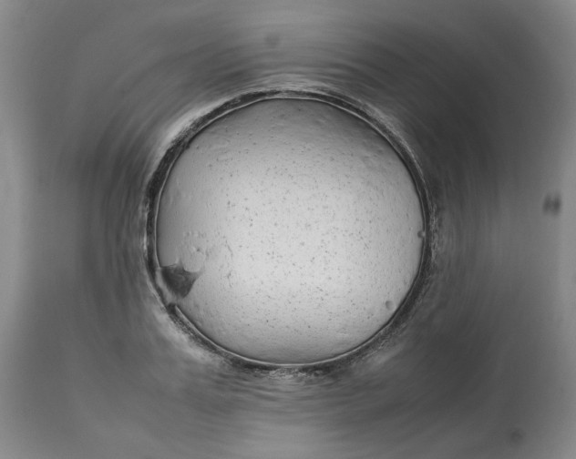 X0000113010987200909171425