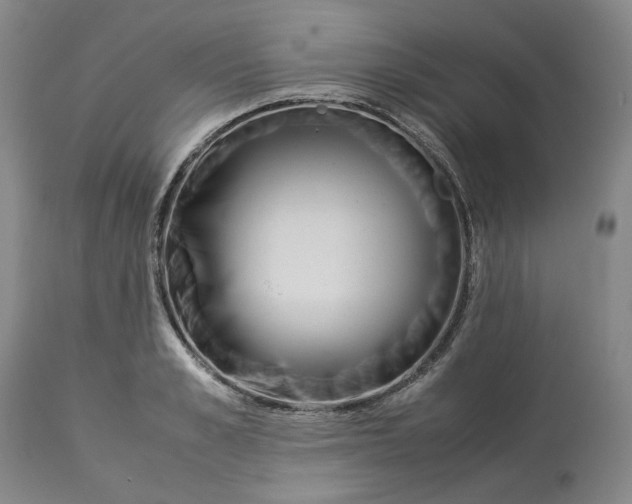 X0000113010989200909171425