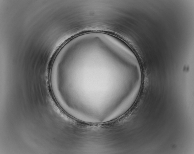 X0000113010990200909171425