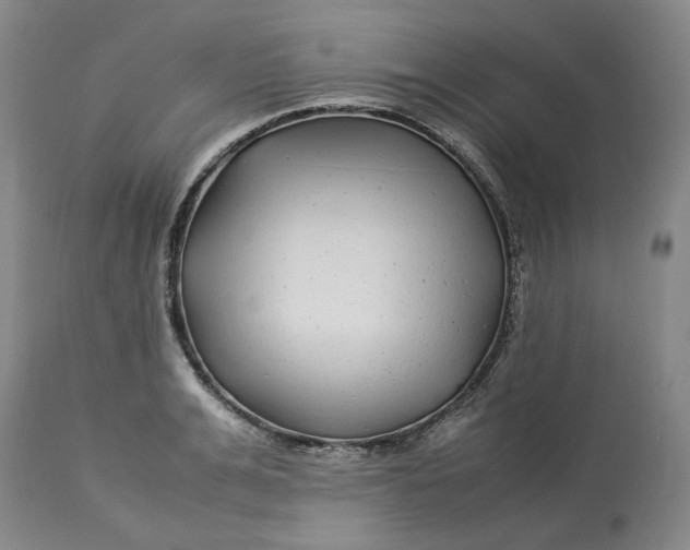 X0000113010991200909171425