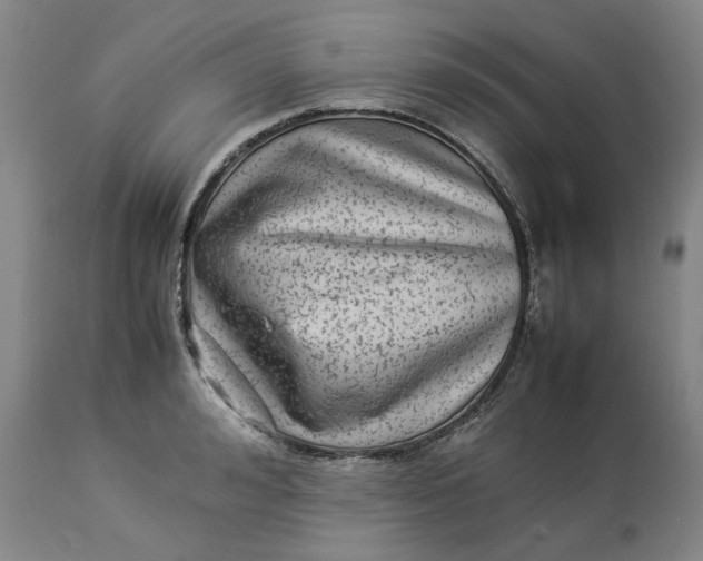 X0000113010992200909171425