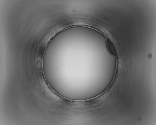 X0000113010993200909171425