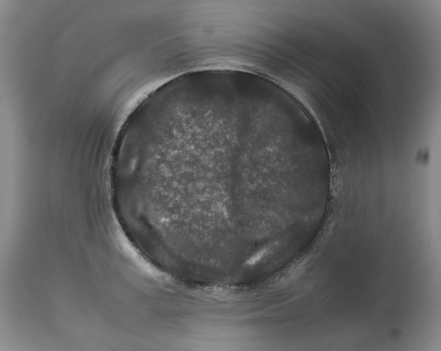 X0000113010995200909171425