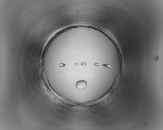 X0000113010996200909171425