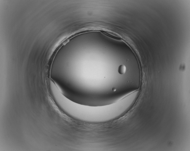 X0000113010997200909171425