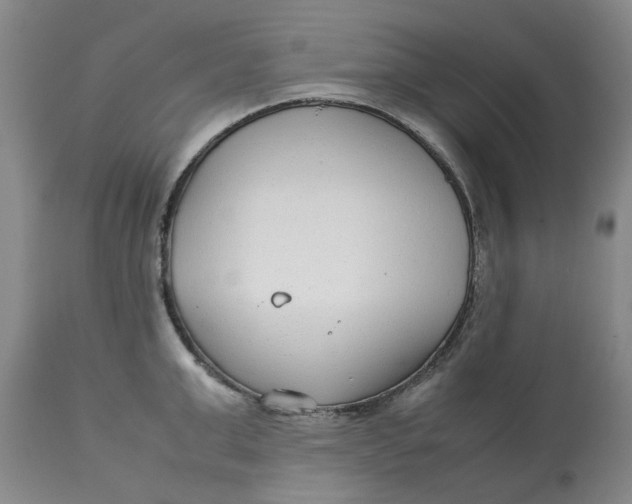 X0000113010999200909171425