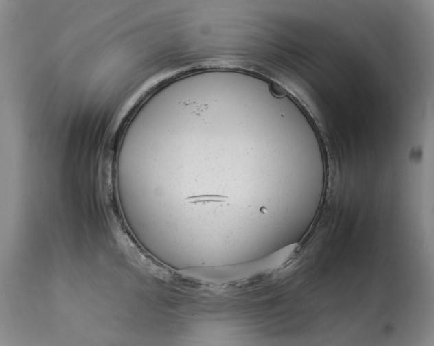 X0000113011000200909171425