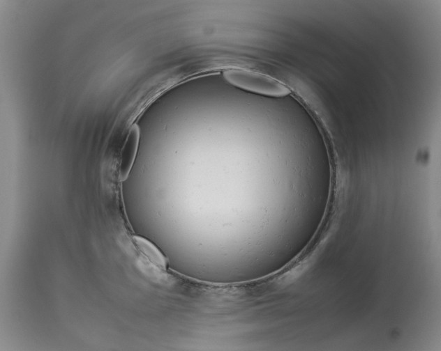 X0000113011001200909171425