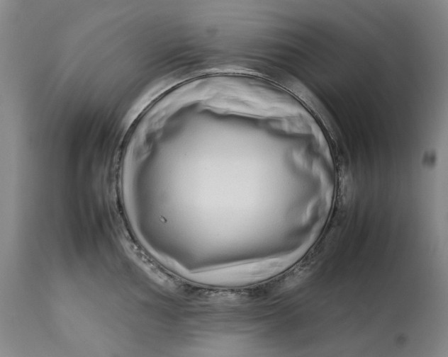 X0000113011002200909171425