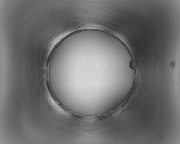 X0000113011003200909171425