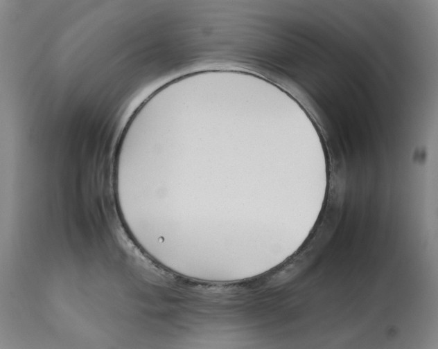 X0000113011004200909171425