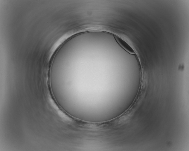 X0000113011005200909171425