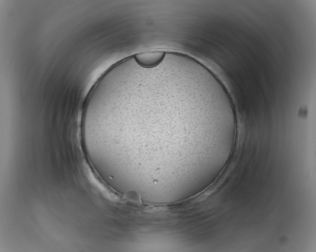 X0000113011006200909171425