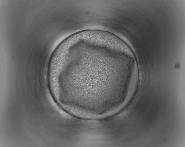 X0000113011007200909171425