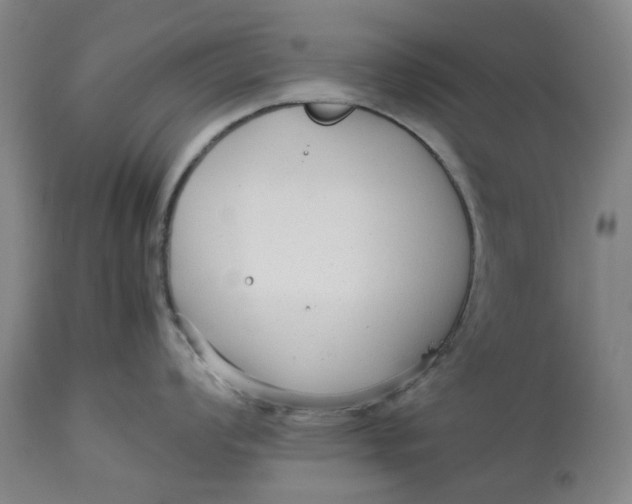 X0000113011008200909171425