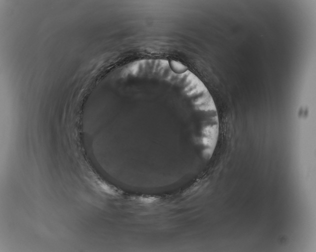 X0000113011009200909171424