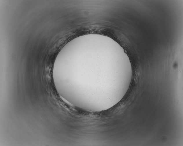 X0000113011010200909171424