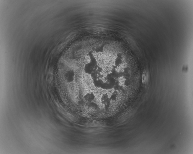 X0000113011011200909171424