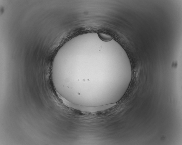 X0000113011012200909171424