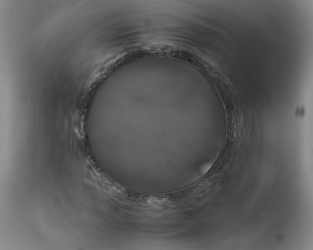 X0000113011013200909171424