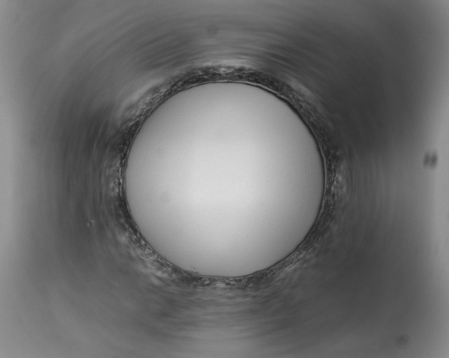 X0000113011014200909171424