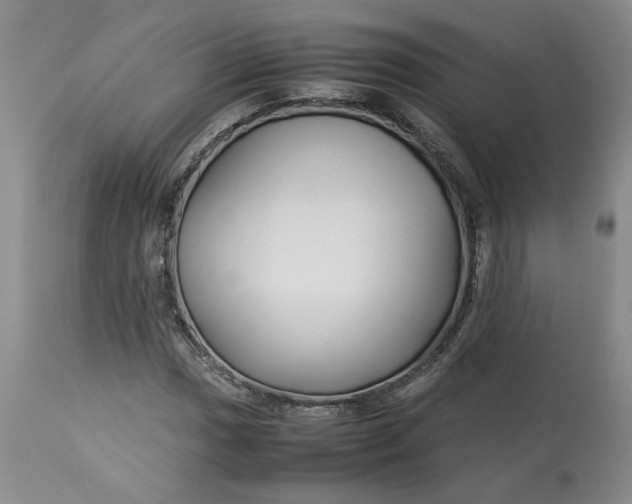 X0000113011017200909171424