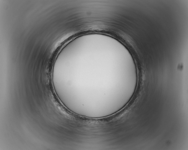 X0000113011018200909171424