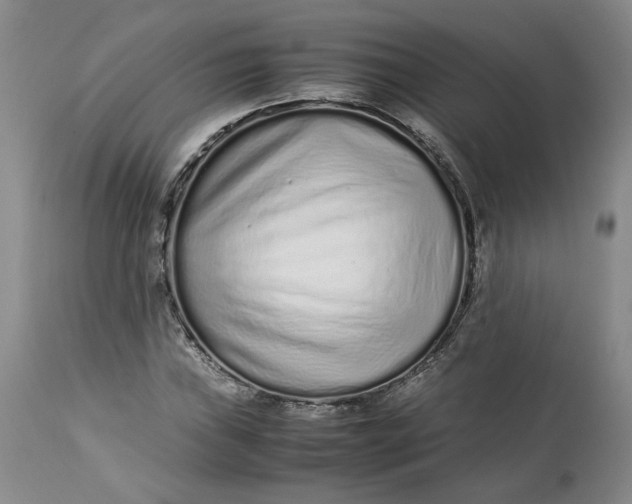 X0000113011019200909171424