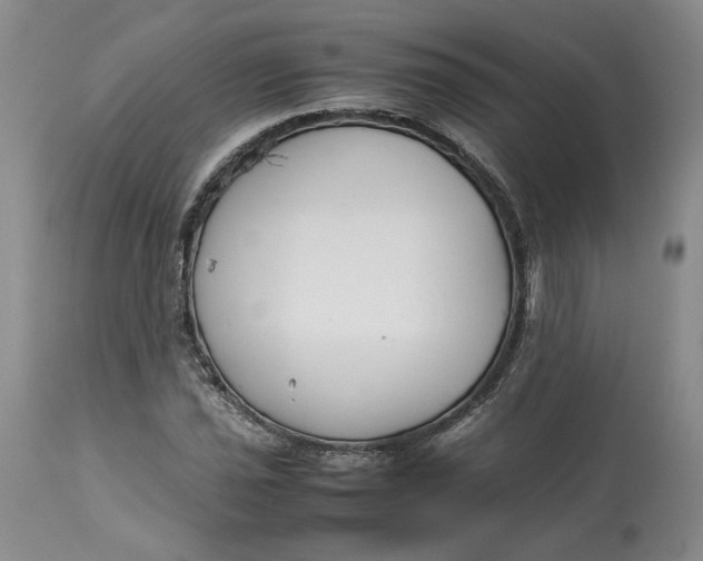 X0000113011021200909171424