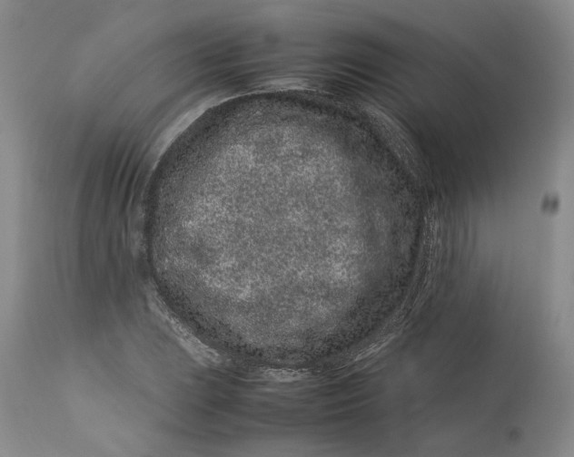 X0000113011023200909171424