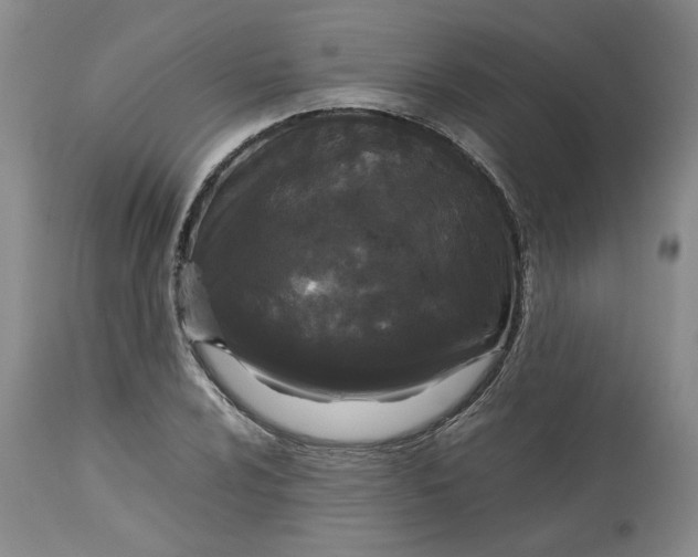 X0000113011024200909171424