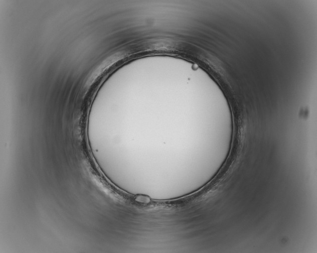 X0000113011026200909171424